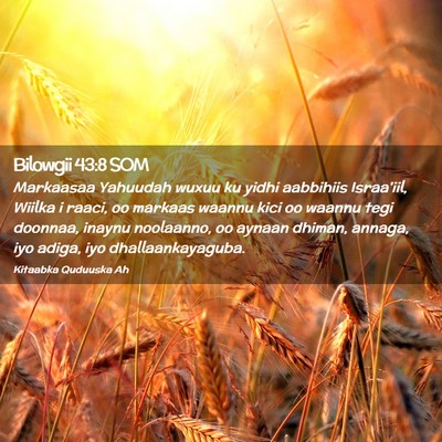 Picture 02 - Bilowgii 43:8 SOM - Markaasaa Yahuudah wuxuu ku yidhi aabbihiis - Bible Verse Picture
