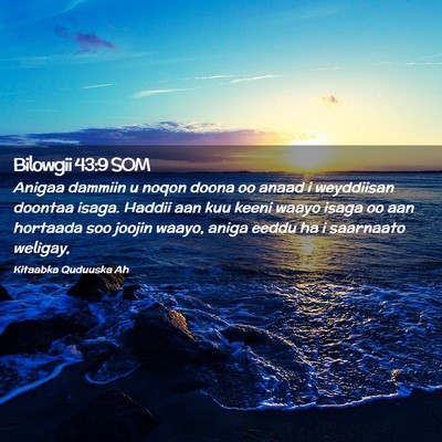 Picture 02 - Bilowgii 43:9 SOM - Anigaa dammiin u noqon doona oo anaad i - Bible Verse Picture