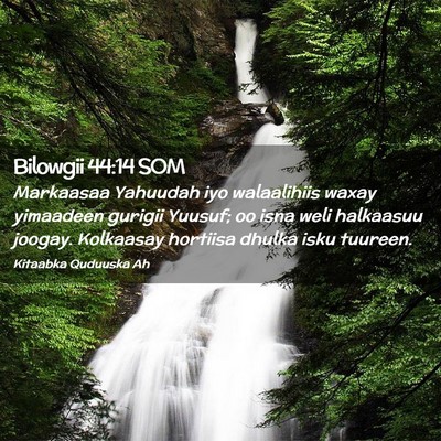 Picture 02 - Bilowgii 44:14 SOM - Markaasaa Yahuudah iyo walaalihiis waxay - Bible Verse Picture