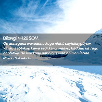 Picture 02 - Bilowgii 44:22 SOM - Oo annaguna waxaannu kugu nidhi, sayidkaygiiyow, - Bible Verse Picture