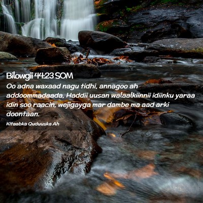 Picture 02 - Bilowgii 44:23 SOM - Oo adna waxaad nagu tidhi, annagoo ah - Bible Verse Picture