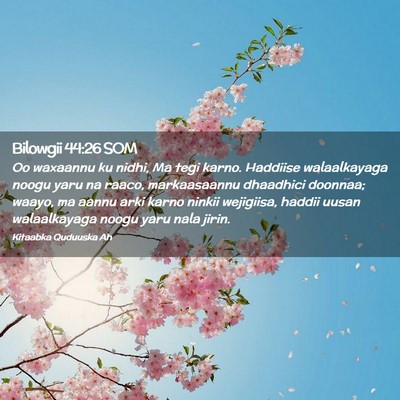 Picture 02 - Bilowgii 44:26 SOM - Oo waxaannu ku nidhi, Ma tegi karno. Haddiise - Bible Verse Picture