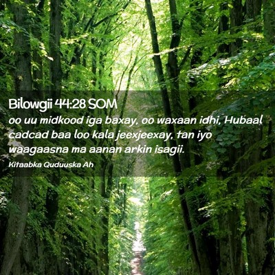 Picture 02 - Bilowgii 44:28 SOM - oo uu midkood iga baxay, oo waxaan idhi, Hubaal - Bible Verse Picture