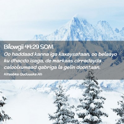 Picture 02 - Bilowgii 44:29 SOM - Oo haddaad kanna iga kaxaysataan, oo belaayo ku - Bible Verse Picture