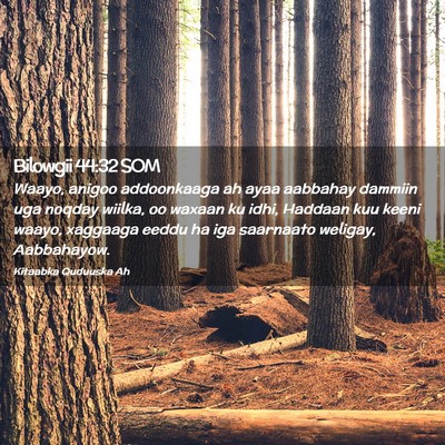Picture 02 - Bilowgii 44:32 SOM - Waayo, anigoo addoonkaaga ah ayaa aabbahay - Bible Verse Picture