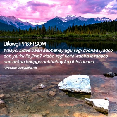 Picture 02 - Bilowgii 44:34 SOM - Waayo, sidee baan aabbahay ugu tegi doonaa iyadoo - Bible Verse Picture