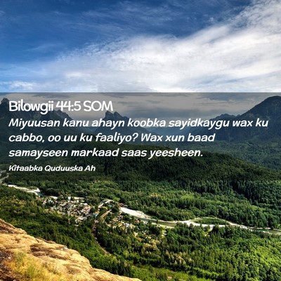 Picture 02 - Bilowgii 44:5 SOM - Miyuusan kanu ahayn koobka sayidkaygu wax ku - Bible Verse Picture