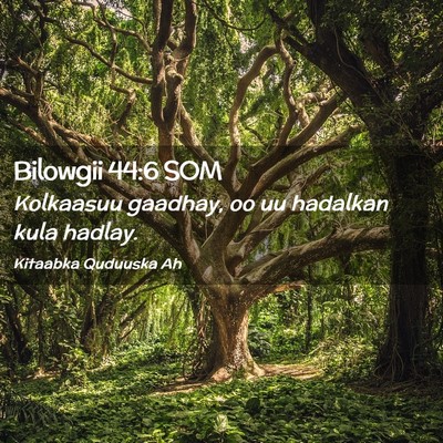 Picture 02 - Bilowgii 44:6 SOM - Kolkaasuu gaadhay, oo uu hadalkan kula - Bible Verse Picture