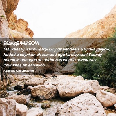 Picture 02 - Bilowgii 44:7 SOM - Markaasay waxay isagii ku yidhaahdeen, - Bible Verse Picture