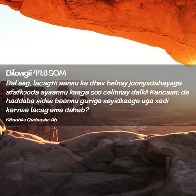 Picture 02 - Bilowgii 44:8 SOM - Bal eeg, lacagtii aannu ka dhex helnay - Bible Verse Picture