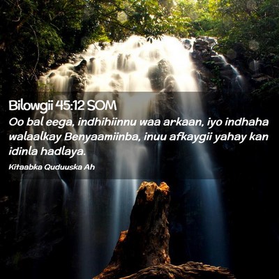Picture 02 - Bilowgii 45:12 SOM - Oo bal eega, indhihiinnu waa arkaan, iyo indhaha - Bible Verse Picture