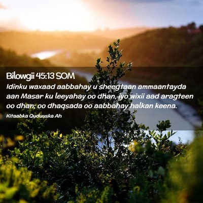Picture 02 - Bilowgii 45:13 SOM - Idinku waxaad aabbahay u sheegtaan ammaantayda - Bible Verse Picture