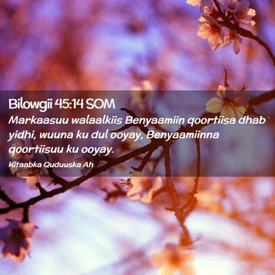 Picture 02 - Bilowgii 45:14 SOM - Markaasuu walaalkiis Benyaamiin qoortiisa dhab - Bible Verse Picture