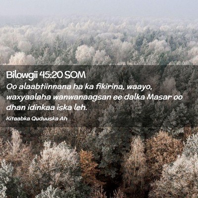 Picture 02 - Bilowgii 45:20 SOM - Oo alaabtiinnana ha ka fikirina, waayo, - Bible Verse Picture