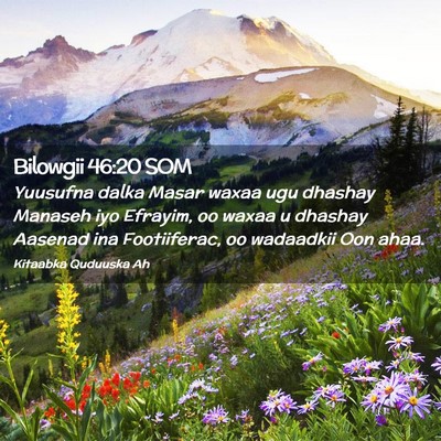 Picture 02 - Bilowgii 46:20 SOM - Yuusufna dalka Masar waxaa ugu dhashay Manaseh - Bible Verse Picture