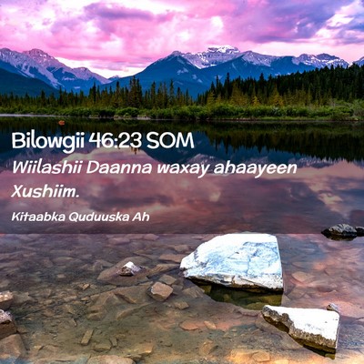Picture 02 - Bilowgii 46:23 SOM - Wiilashii Daanna waxay ahaayeen - Bible Verse Picture