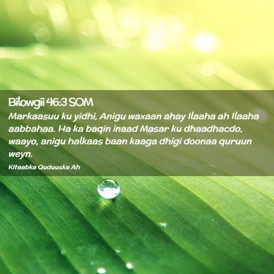 Picture 02 - Bilowgii 46:3 SOM - Markaasuu ku yidhi, Anigu waxaan ahay Ilaaha ah - Bible Verse Picture