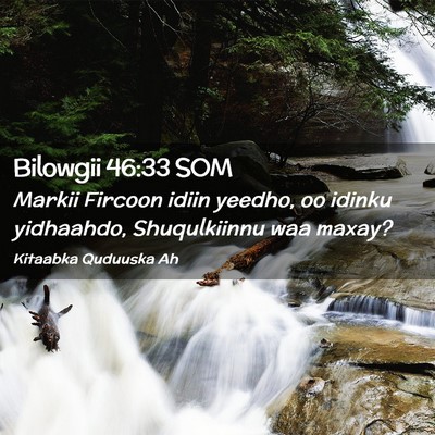 Picture 02 - Bilowgii 46:33 SOM - Markii Fircoon idiin yeedho, oo idinku yidhaahdo, - Bible Verse Picture