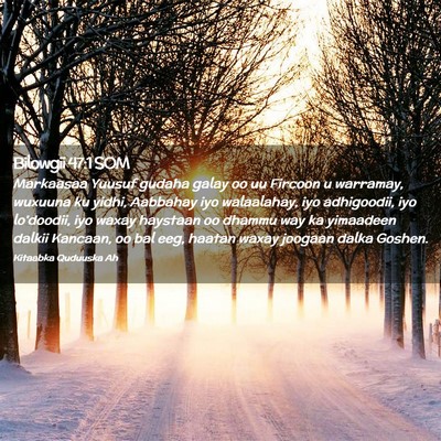 Picture 02 - Bilowgii 47:1 SOM - Markaasaa Yuusuf gudaha galay oo uu Fircoon u - Bible Verse Picture