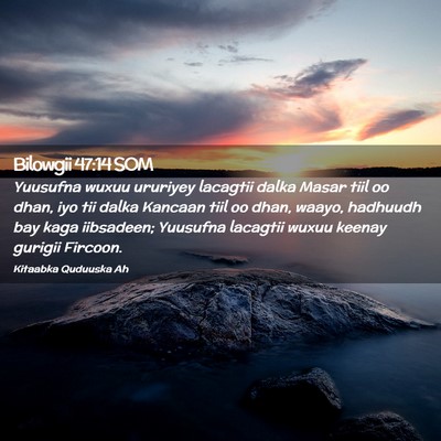 Picture 02 - Bilowgii 47:14 SOM - Yuusufna wuxuu ururiyey lacagtii dalka Masar tiil - Bible Verse Picture