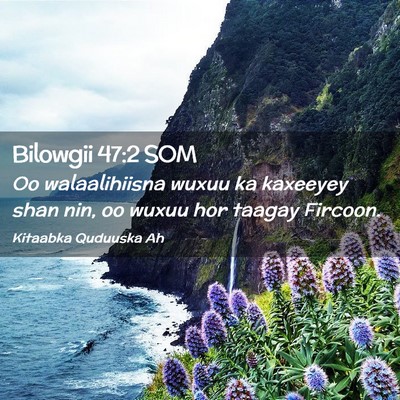 Picture 02 - Bilowgii 47:2 SOM - Oo walaalihiisna wuxuu ka kaxeeyey shan nin, oo - Bible Verse Picture