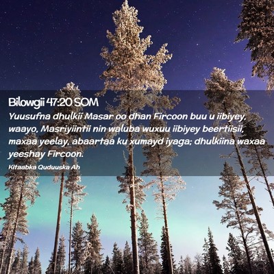 Picture 02 - Bilowgii 47:20 SOM - Yuusufna dhulkii Masar oo dhan Fircoon buu u - Bible Verse Picture