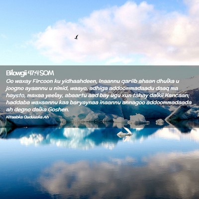 Picture 02 - Bilowgii 47:4 SOM - Oo waxay Fircoon ku yidhaahdeen, Inaannu qariib - Bible Verse Picture