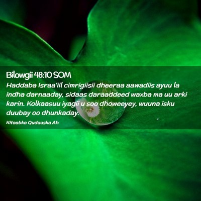 Picture 02 - Bilowgii 48:10 SOM - Haddaba Israa'iil cimrigiisii dheeraa aawadiis - Bible Verse Picture