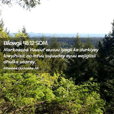 Picture 02 - Bilowgii 48:12 SOM - Markaasaa Yuusuf wuxuu iyagii ka durkiyey - Bible Verse Picture