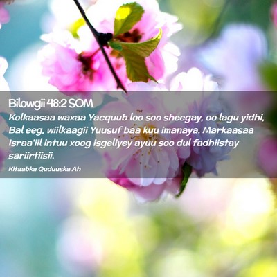 Picture 02 - Bilowgii 48:2 SOM - Kolkaasaa waxaa Yacquub loo soo sheegay, oo lagu - Bible Verse Picture