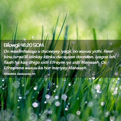 Picture 02 - Bilowgii 48:20 SOM - Oo maalintaasuu u duceeyey iyagii, oo wuxuu - Bible Verse Picture