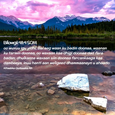 Picture 02 - Bilowgii 48:4 SOM - oo wuxuu igu yidhi, Bal eeg waan ku badin doonaa, - Bible Verse Picture