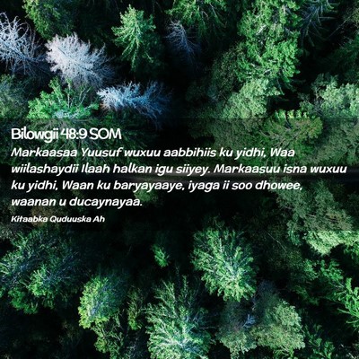Picture 02 - Bilowgii 48:9 SOM - Markaasaa Yuusuf wuxuu aabbihiis ku yidhi, Waa - Bible Verse Picture