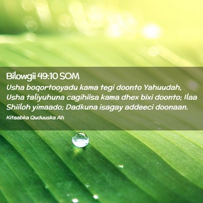 Picture 02 - Bilowgii 49:10 SOM - Usha boqortooyadu kama tegi doonto Yahuudah, Usha - Bible Verse Picture