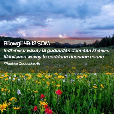 Picture 02 - Bilowgii 49:12 SOM - Indhihiisu waxay la guduudan doonaan khamri, - Bible Verse Picture