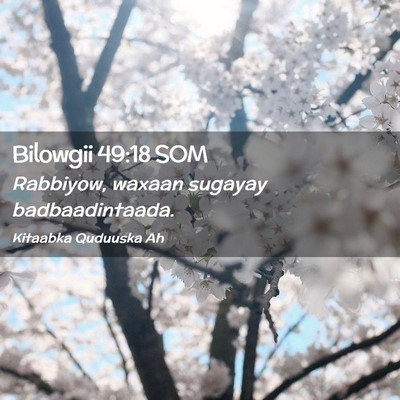 Picture 02 - Bilowgii 49:18 SOM - Rabbiyow, waxaan sugayay - Bible Verse Picture