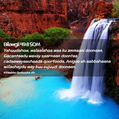 Picture 02 - Bilowgii 49:8 SOM - Yahuudahow, walaalahaa waa ku ammaani doonaan. - Bible Verse Picture