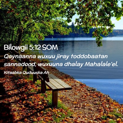 Picture 02 - Bilowgii 5:12 SOM - Qaynaanna wuxuu jiray toddobaatan sannadood, - Bible Verse Picture