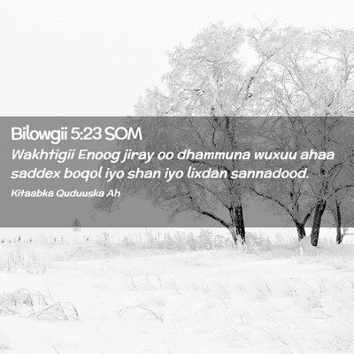 Picture 02 - Bilowgii 5:23 SOM - Wakhtigii Enoog jiray oo dhammuna wuxuu ahaa - Bible Verse Picture