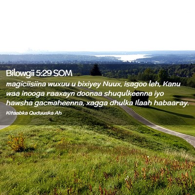 Picture 02 - Bilowgii 5:29 SOM - magiciisiina wuxuu u bixiyey Nuux, isagoo leh, - Bible Verse Picture