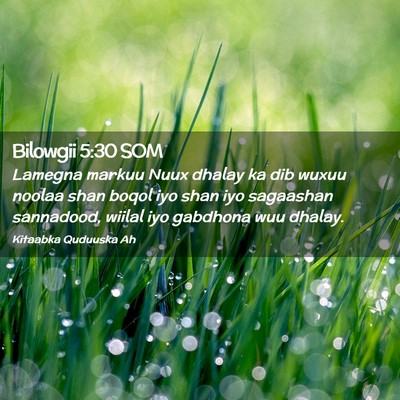 Picture 02 - Bilowgii 5:30 SOM - Lamegna markuu Nuux dhalay ka dib wuxuu noolaa - Bible Verse Picture