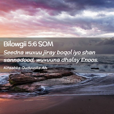 Picture 02 - Bilowgii 5:6 SOM - Seedna wuxuu jiray boqol iyo shan sannadood, - Bible Verse Picture