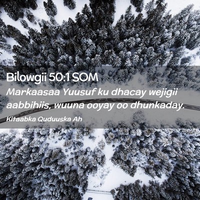 Picture 02 - Bilowgii 50:1 SOM - Markaasaa Yuusuf ku dhacay wejigii aabbihiis, - Bible Verse Picture