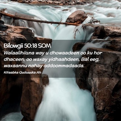 Picture 02 - Bilowgii 50:18 SOM - Walaalihiisna way u dhowaadeen oo ku hor dhaceen; - Bible Verse Picture