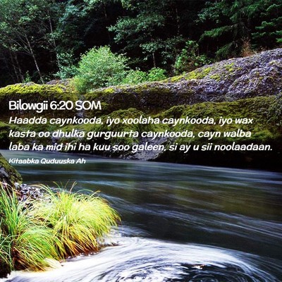 Picture 02 - Bilowgii 6:20 SOM - Haadda caynkooda, iyo xoolaha caynkooda, iyo wax - Bible Verse Picture