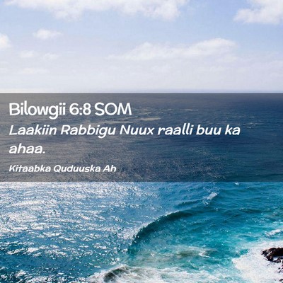 Picture 02 - Bilowgii 6:8 SOM - Laakiin Rabbigu Nuux raalli buu ka - Bible Verse Picture