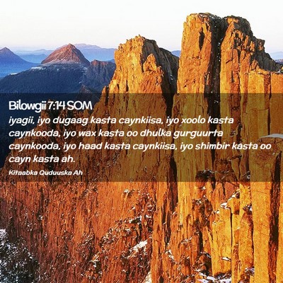 Picture 02 - Bilowgii 7:14 SOM - iyagii, iyo dugaag kasta caynkiisa, iyo xoolo - Bible Verse Picture