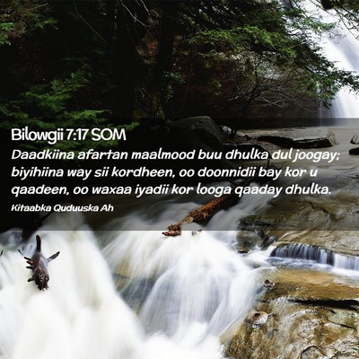 Picture 02 - Bilowgii 7:17 SOM - Daadkiina afartan maalmood buu dhulka dul joogay; - Bible Verse Picture