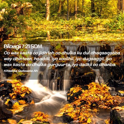 Picture 02 - Bilowgii 7:21 SOM - Oo wax kasta oo jidh leh oo dhulka ku dul - Bible Verse Picture
