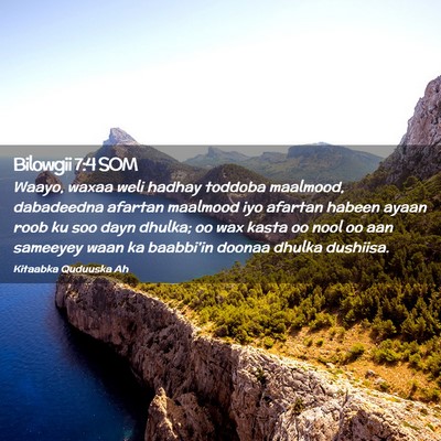 Picture 02 - Bilowgii 7:4 SOM - Waayo, waxaa weli hadhay toddoba maalmood, - Bible Verse Picture